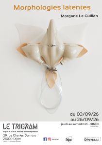 Morphologies latentes - Exposition