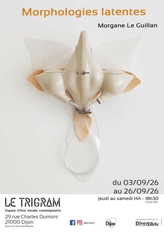 Morphologies latentes - Exposition